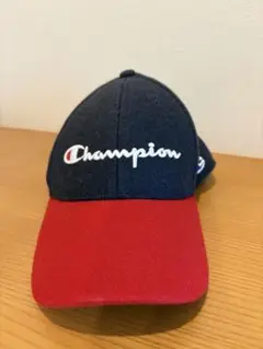 Item thumbnail for item 5361e0bf-83cc-4871-8f67-316e9830997c