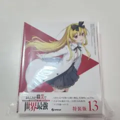 ありふれた職業で世界最強13 BD付特装版 ありふれた職業で世界最強 13 Blu-ray付き特装版 (オーバー