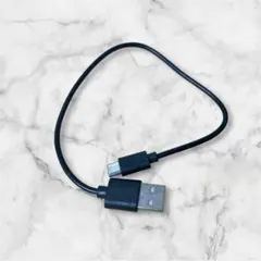 USB Type-C 黒　短め　約30㎝