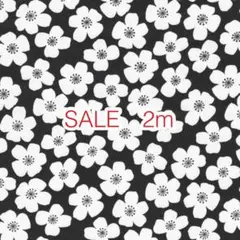 ラスト2点 SALE 2m お花 ブラック オックス