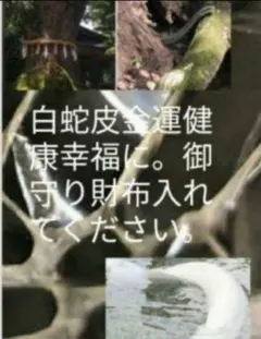 少し怖い霊視　金運仕事悩み全て霊視　今の使命　未来　神職が鑑定