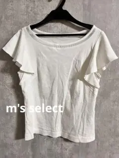 Item thumbnail for item 3049db06-26e7-4c2f-9cdc-183d329baf87