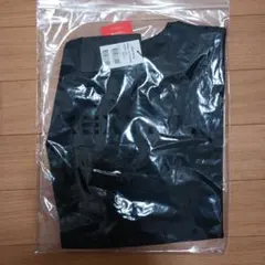Item thumbnail for item 6ed2d464-c8fe-48e4-9301-be9fb13f677a