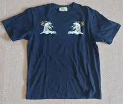 Item thumbnail for item 2031c283-6c6d-4133-9a5b-4ca9ba24e088