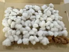 Item thumbnail for item dab612a3-aa1a-4f07-9e29-3cde0862e4bb