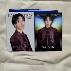 BUTTERFLY EFFECT 堀夏喜 トレカ セット