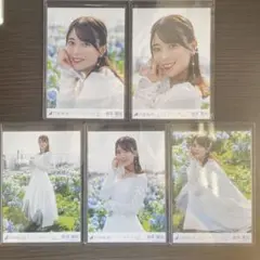 乃木坂46 岩本蓮加 ここにはないもの 選抜ver. 5種コンプ