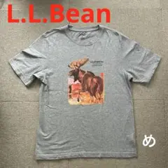 珍品　L.L.Beanエルエルビーン　 デザイン半袖Tシャツ　男女　アウトドア