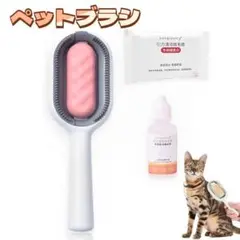 Item thumbnail for item 7b170967-0515-4db8-8445-d8ba8c3b6b0e