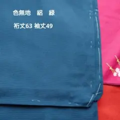 色無地　しつけ付き　夏着物　絽 緑