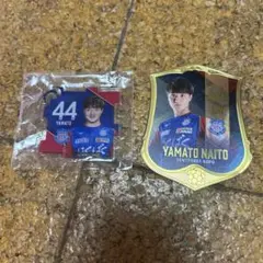 ヴァンフォーレ甲府グッズ