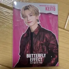 木村慧人 シクレ