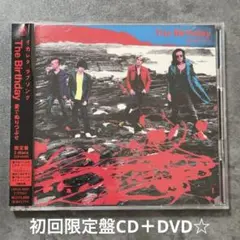 The Birthday『愛でぬりつぶせ』初回限定盤CD＋DVD☆帯付美品☆