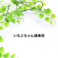 いちごちゃん様専用ページ かすみ草 ドライフラワー
