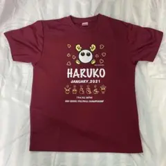 ✨美品✨春高バレー　2021 Tシャツ Lサイズ