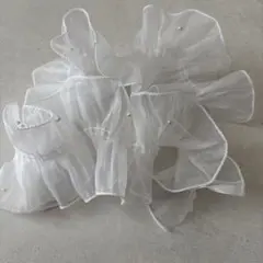 Item thumbnail for item 5e9d9405-9519-469d-b584-2ff553c09e72