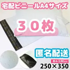 Item thumbnail for item c0b65cc1-5a70-40d4-a247-7b022e5026c3