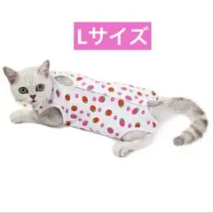 Item thumbnail for item 46be1c0f-53cf-4fe9-b129-39b66e3bdb6a