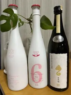 2025年最新】亜麻猫スパークの人気アイテム - メルカリ