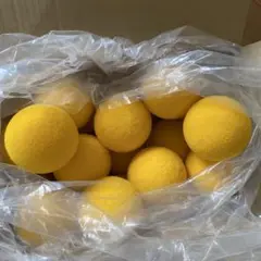 スポンジボール45個