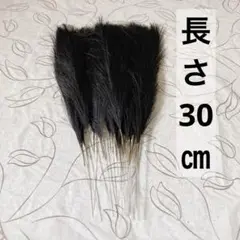 人工的な葦の草 ボヘミアン装飾 黒 28本 30㎝ ディスプレイ 装飾