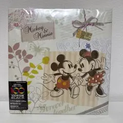 新品 ナカバヤシ ディズニーミッキー&ミニー　フエルアルバム 台紙10枚