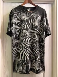 Item thumbnail for item 4bdc81ed-fbcf-4fcd-b7c3-44a9afaa22bd