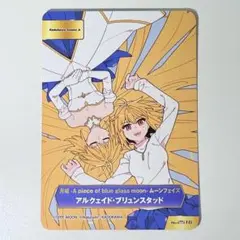 TYPE-MOONフェア アニメイト特典 アルクェイド