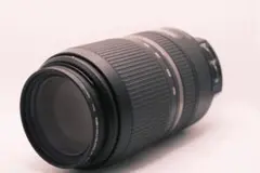 Item thumbnail for item c42b0693-8ff5-4d8e-9007-ab9940eb2903