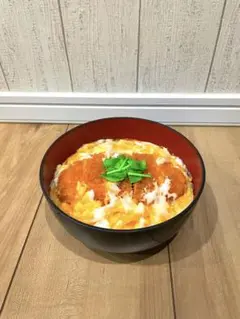 食品サンプル カツ丼 ドッキリ フェイク かつ丼