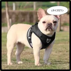 ペット用ハーネス L 黒
