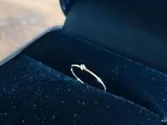 Item thumbnail for item e5687737-3535-42a7-a751-e1930d3c0a15