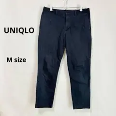 Item thumbnail for item 9b1d1d8b-a696-4ed9-b725-dd194c8efad3