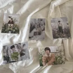 txt 5枚セット