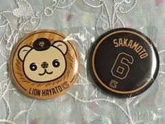 ジャイアンツ エニマイくじ E賞 坂本勇人 ライオンハヤト 缶バッジ