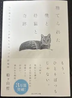 捨てられた僕と母猫と奇跡 : 心に傷を負った二人が新たに見つけた居場所