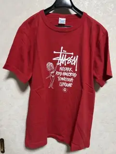 レア　Stüssy champion コラボTシャツ