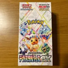 テラスタルフェスex 10パック