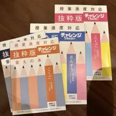 チャレンジ1年生 こくご・さんすう 抜粋版