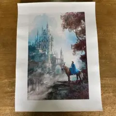 ステファンマーチンエアー　ディズニー公式アーティスト　サイン色紙　画集 Yahoo!オークション - ステファン・マーチンエアー シンデレラ城