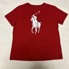 Polo Ralph Lauren 赤 Tシャツ XL