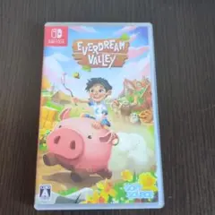 Switch Everdream Valley　エバードリームバレー