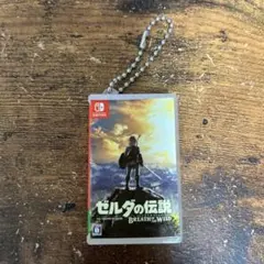 ニンテンドースイッチ　カードポケット mini ゼルダの伝説