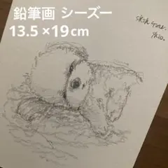 【鉛筆画】 シーズー　犬　動物 絵　原画　ドローイング　イラスト