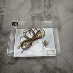 Item thumbnail for item dd39aa21-bd35-4fe5-859a-55e20c79940e