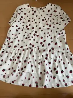 Item thumbnail for item 1f57d05f-08ae-41f5-a677-a94e891643f6