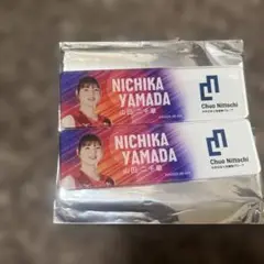 女子バレー ネーションズリーグ 山田二千華 マグネット 非売品
