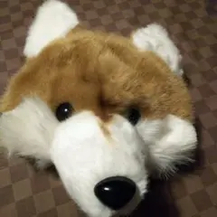 キツネさんの帽子