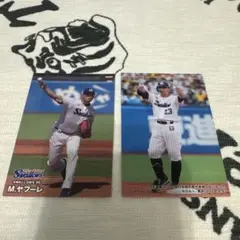 東京ヤクルトスワローズ プロ野球チップス カルビー 2024
