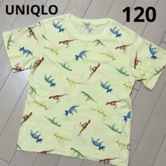 UNIQLO UT 恐竜柄 Tシャツ 120cm　国立科学博物館